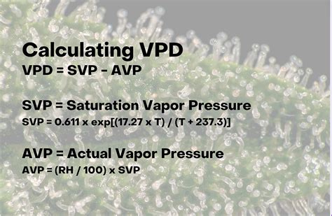 vpd rechner|Vapor Pressure Deficit (VPD) Calculator